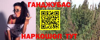 jwh Кинель