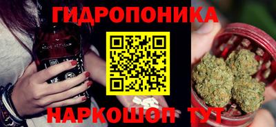 шишки Кингисепп
