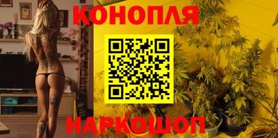 шишки Кингисепп