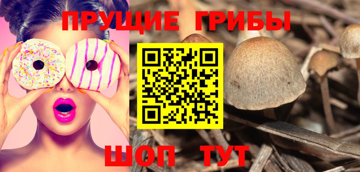 Галлюциногенные грибы MAGIC MUSHROOMS Мыски